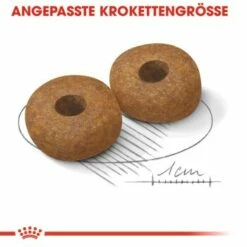 Royal Canin Medium Ageing 10+ 15 Kg -Tier Geschäft 0a453b86a84d0380c5d152e81e85c4fc2e5494ce c4a51033500711901bbb965ddf12b16b9f8c074f