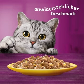 Whiskas Mega Pack 1+ Geflügel Auswahl In Gelee 40 X 85g 2 Whiskas Mega Pack 1+ Geflügel Auswahl In Gelee 40 X 85g – Bild 2