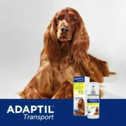 Adaptil Transport Spray 60ml Reduziert Reisestress Und Reiseübelkeit -Tier Geschäft 10042642655c241c2be17b616fd7feb00d44fda7 1204438 5