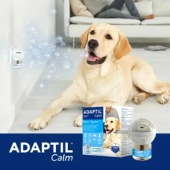 Adaptil Happy Home Start-Set -Tier Geschäft 15ed6e28c332a1196ee7c29e5e25a4cf4d6882ef 1204433 5