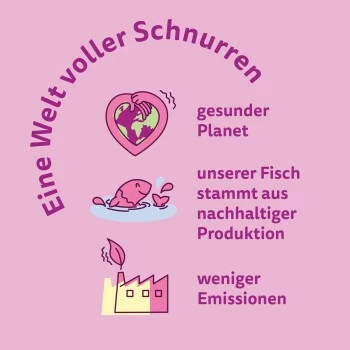 Whiskas Mega Pack 7+ Fisch Auswahl In Gelee 40 X 85g 4 Whiskas Mega Pack 7+ Fisch Auswahl In Gelee 40 X 85g – Bild 4