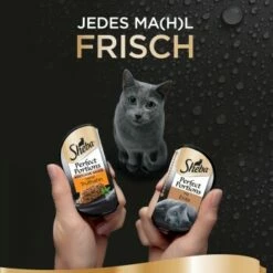 Sheba Perfect Portions 16x37,5g Ente & Truthahn -Tier Geschäft 3edfc91c7ceca7f3ea54c26c1defb4d0115b70c3 1376758 de DE sheba 5