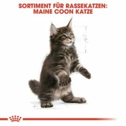 Royal Canin Maine Coon Kitten 2 Kg -Tier Geschäft 5363adbcd5720069c9dee834c28d247ed6c58d7d 78d41fa69f58c3708158103686f8d71d73464eed