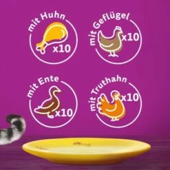 Whiskas Mega Pack 1+ Geflügel Auswahl In Gelee 40 X 85g 10 Whiskas Mega Pack 1+ Geflügel Auswahl In Gelee 40 X 85g -Tier Geschäft 59a8e46408ae9bfc1dc5762f45df3d8c049b5f3b 1417306 5