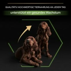 Pro Plan Large Puppy Athletic Huhn 12kg -Tier Geschäft 5db780cb57490d454ad84ae5073756ff7ec1e879 1206425 5