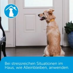 Adaptil Happy Home Start-Set -Tier Geschäft 6d0a085448f120664559cc0b6dc755e81ddd57cf 1204433 4