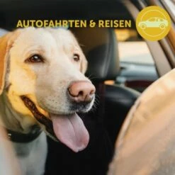 Adaptil Transport Spray 60ml Reduziert Reisestress Und Reiseübelkeit -Tier Geschäft 6e8ac5d6df396f826b92f2e272596fab8b932217 1204438 8