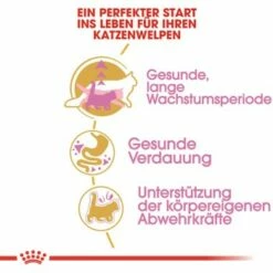 Royal Canin Maine Coon Kitten 2 Kg -Tier Geschäft 762fe3d95c521f1c9aed31bc11ea5f813cb64625 48abad1c00ba32352c5f4e40b8a5a9d5e4dec65f