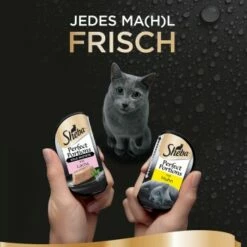 Sheba Perfect Portions 16x37,5g Huhn Und Lachs -Tier Geschäft 779dcc2b803071491847546b40757e4dda2bc4e4 1376759 de DE sheba 2