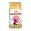 Royal Canin Maine Coon Kitten 2 Kg