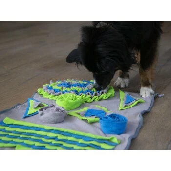 Procyon Intelligenzmatte Fleece 80cm 3 Procyon Intelligenzmatte Fleece 80cm – Bild 3