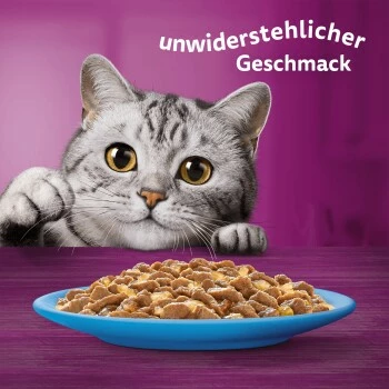 Whiskas Mega Pack 7+ Fisch Auswahl In Gelee 40 X 85g 2 Whiskas Mega Pack 7+ Fisch Auswahl In Gelee 40 X 85g – Bild 2