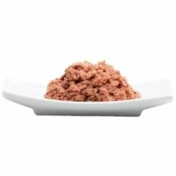 Catz Finefood 16x85g No. 11 Lamm & Kaninchen -Tier Geschäft c6645867e4b5632cd8d43b4671b9055a66d77416 1051099 1