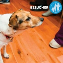 Adaptil 1 Monats-Nachfüllflakon -Tier Geschäft caae7fe40fcf85e47ce9308a86604a2fade89cbc 1221382 8