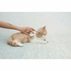 Petkit Silikon Massagekamm -Tier Geschäft ddaac12ea4e4735734fb80bd9dafcc4619d147fc 1291412 3