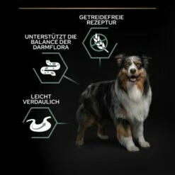 Pro Plan Adult Medium & Large OPTIDIGEST Getreidefrei 12 Kg -Tier Geschäft e9cc07af099c48515a817e18212c2a0115739371 1301943 2
