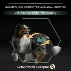 Pro Plan Adult Medium & Large OPTIDIGEST Getreidefrei 12 Kg -Tier Geschäft ef1744126796ea63ac3c8f5b5e0b760ccbf80ff3 1301943 4